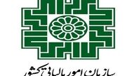  پناهی از سازمان امور مالیاتی می‌رود؟ 