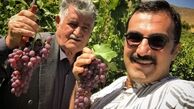 بازیگر مشهور در باغ انگوری + عکس