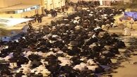ادامۀ تحصن مقابل منزل آیت الله عیسی قاسم +تصاویر