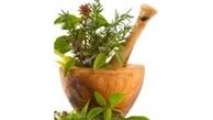 راه‌های درمان و پیشگیری از اعتیاد با استفاده از طب سنتی