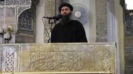 سرکردگان تروریست‌ها چه تحصیلاتی دارند؟