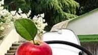 راه‌اندازی دهکده‌های سلامت و پردیس خوراکی‌های اسلامی در پایتخت