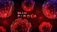 کرونای پیرولا بیماری‌زایی بیشتری ندارد
