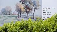 ماجرای هزینه میلیاردی تابلوهای تبلیغاتی شهرداری/ نحوه انتخاب آثار تابلوهای تبلیغاتی