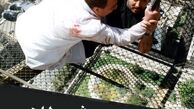 ابوالفضل پورعرب در رقص شیطان