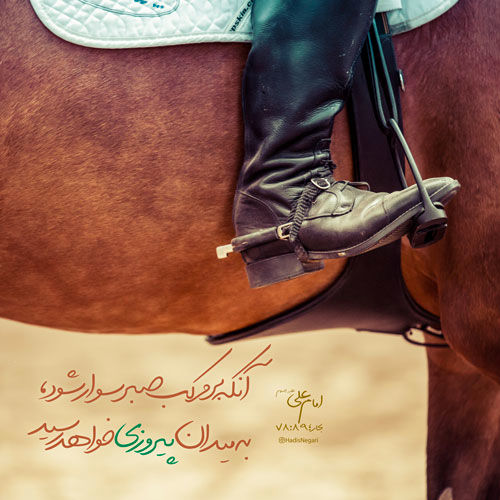  آنکه بر مرکب صبر سوار باشد