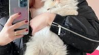 گربه بامزه خانم بازیگر + عکس