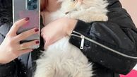 گربه بامزه خانم بازیگر + عکس