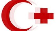 رئیس فدراسیون صلیب سرخ به تهران می آید 