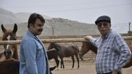 سریال «نزدیکی‌های بهشت» از شنبه شبکه یک پخش می‌شود