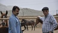 سریال «نزدیکی‌های بهشت» از شنبه شبکه یک پخش می‌شود