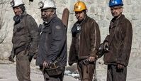 توصیه امام کاظم علیه‌السلام به تلاش تام و تمام