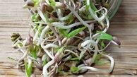 خواص جوانه ماش برای سلامتی ، پوست و مو که شما را شگفت زده می کند !