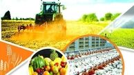 کاهش تولید محصولات غذایی کشور از 14 میلیون تن به 10 میلیون