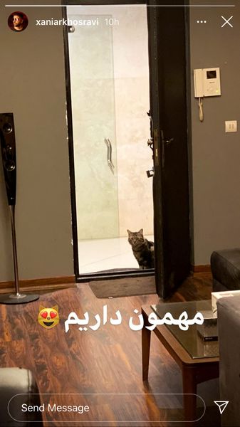 مهمانداری زانیار خسروی + عکس