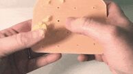 اسباب‌بازی چندش‌آور برای دوستداران جوش چرکی/عکس
