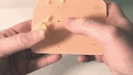 اسباب‌بازی چندش‌آور برای دوستداران جوش چرکی/عکس