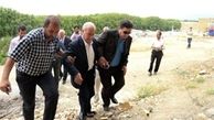 شیوه مدرن استقلالی ها برای کاهش قرارداد ها/ هر کی به کرمش از قراردادش می بخشه!