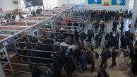 شرط تردد زائران عتبات در اربعین امسال