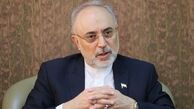 همان اول گفتم آمریکا دبه در می آورد