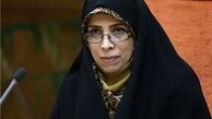 امین زاده:رییس جمهور تاکید دارد که حقوق شهروندی سیاسی نشود

