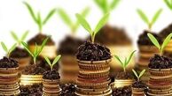 تصویب ۲۴ طرح علمی توسط صندوق حمایت 