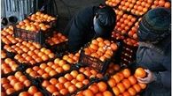 ذخیره‌سازی ۶۵ هزار تن سیب و پرتقال برای عید