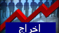 تهدید عجیب کارفرما به کارگرانش ؛ همستر بازی کنید اخراج می‌شوید !