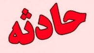انحراف به چپ سواری پارس قربانی گرفت