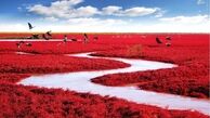 مناظر دیدنی در کره زمین/ گزارش تصویری