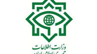 دستگیری ۱۸ عضو شبکه هرمی خروج ارز از کشور