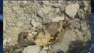 یافتن جسد یک حاجی پس از چند ماه در عربستان 