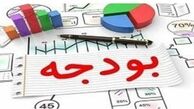  ردیف‌های غیرشفاف و غیرضروری در بودجه حذف شود