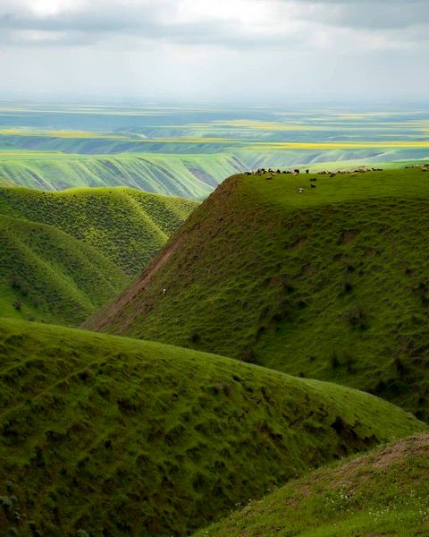 تصویر فوق العاده رویایی از ترکمن صحرا + عکس