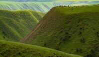 تصویر فوق العاده رویایی از ترکمن صحرا + عکس