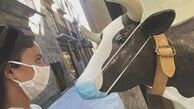 پوشش الناز شاکردوست در خارج از کشور + عمی