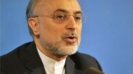 چرا برای فردو این همه حساسیت دارند؟/اقدامات غلطی که از صالحی سر زد