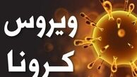 سازمان ملل درباره قحطی در جهان هشدار داد
