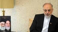 دیدار خداحافظی سفیر اتریش با صالحی