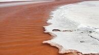 جزئیات افزایش ۲۲ درصدی بارش‌ها