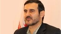 ضرورت اجماع فقهای قم و نجف با مفتیان الازهر برای تحریم سفک دماء مسلمانان