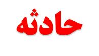 سگ وحشی پسر 3 ساله را کشت+عکس
