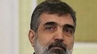 کمالوندی: 100/00 سانتریفیوژ در 1/5 سال؛ پاسخی به غرب
