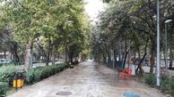 کاهش دما و باران نوار شمالی و شرقی کشور را در بر می‌گیرد