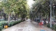 کاهش دما و باران نوار شمالی و شرقی کشور را در بر می‌گیرد
