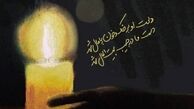 پست کنایه دار علی ضیا درباره محرم