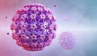 مراقب این ویروس جدید باشید !+ روش انتقال ویروس