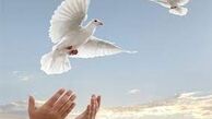 جوان تهرانی پای چوبه دار جان دوباره گرفت / 2 شرط جالب برای بخشش