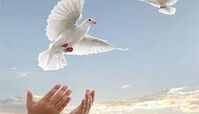 جوان تهرانی پای چوبه دار جان دوباره گرفت / 2 شرط جالب برای بخشش