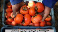 اتفاق وحشتناک به دلیل مصرف خرمالوی با پوست و انار !